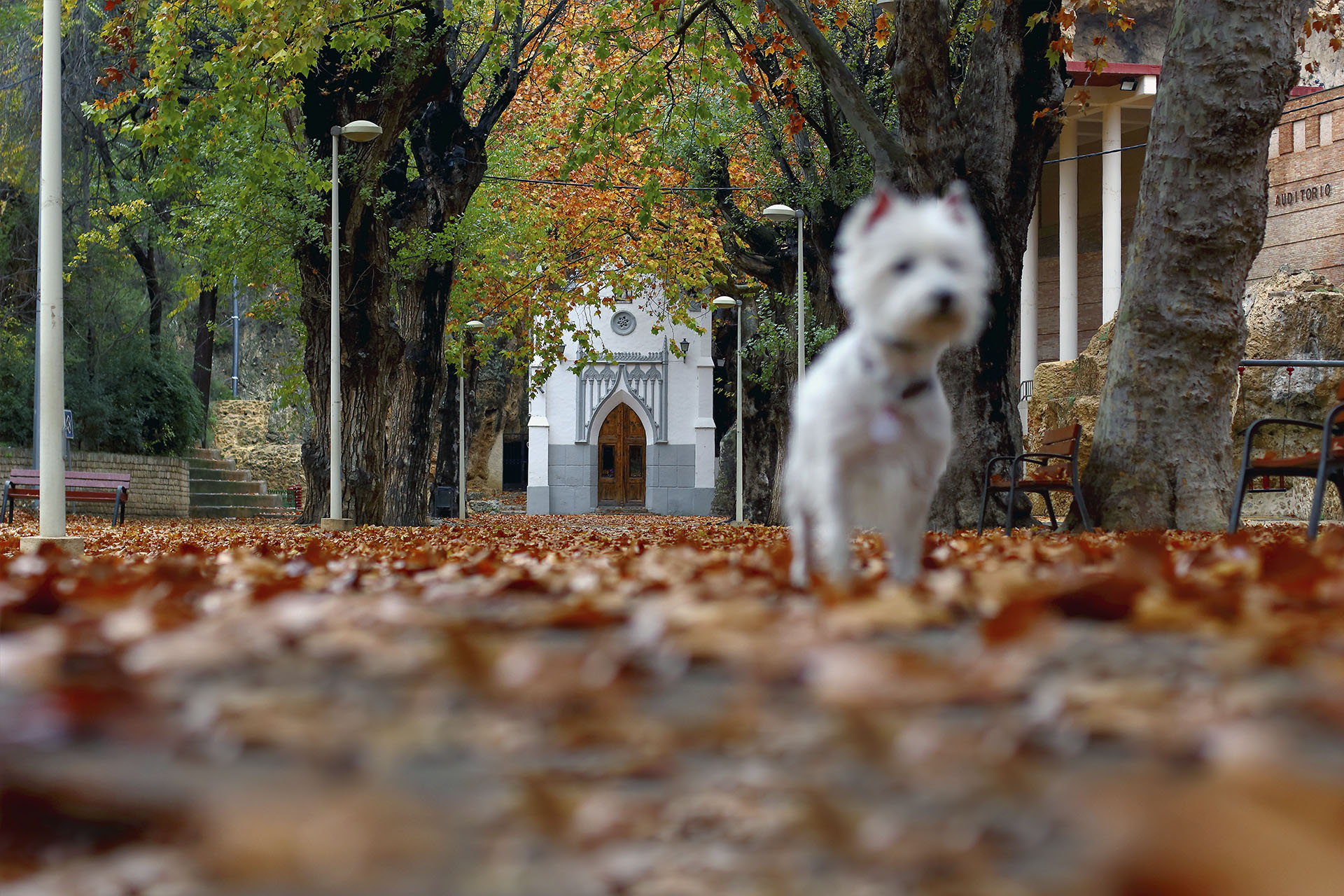 Parque San Luis