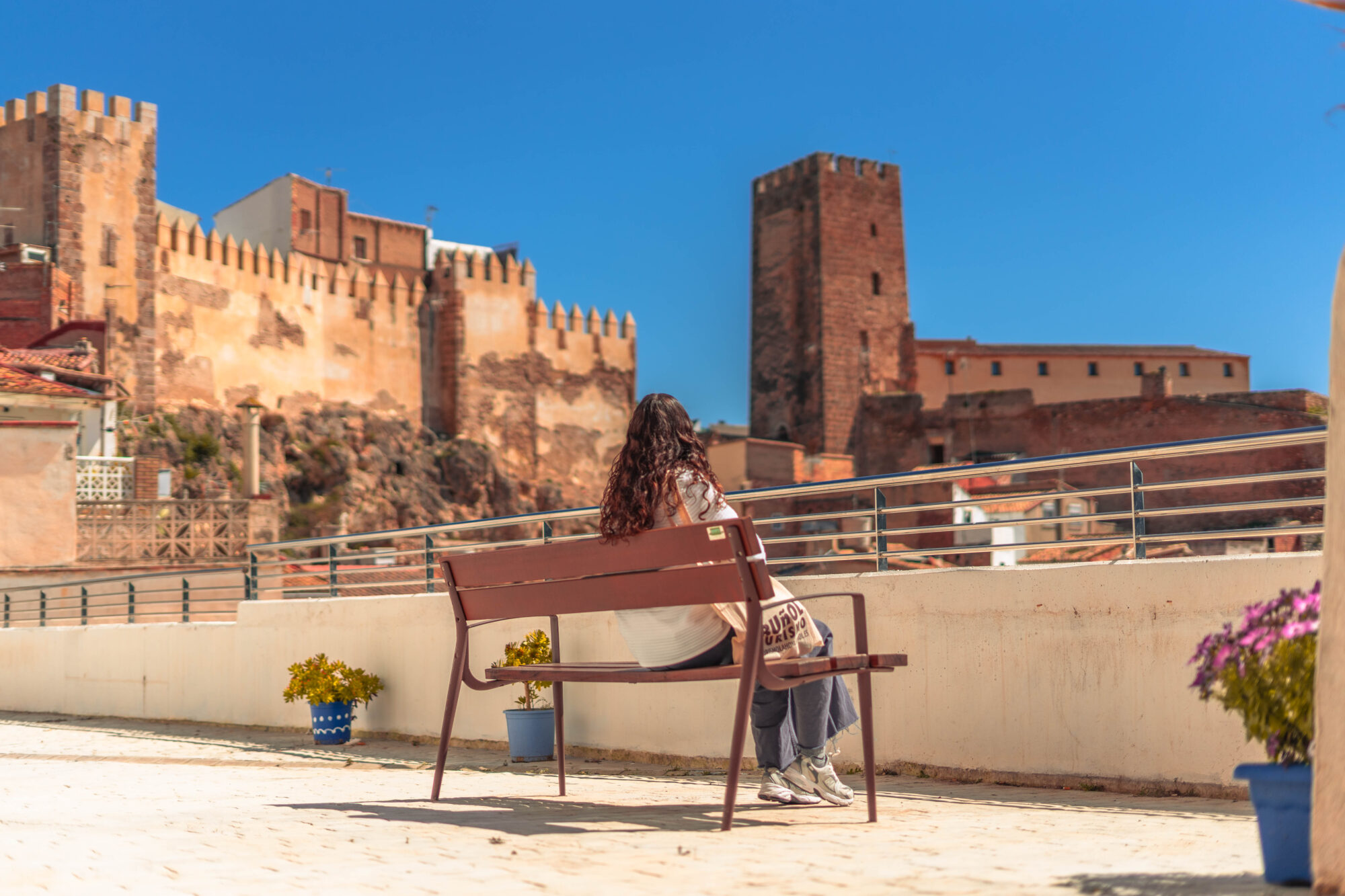 Castillo (14)